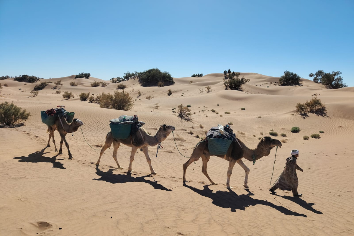 Untitled design (17)