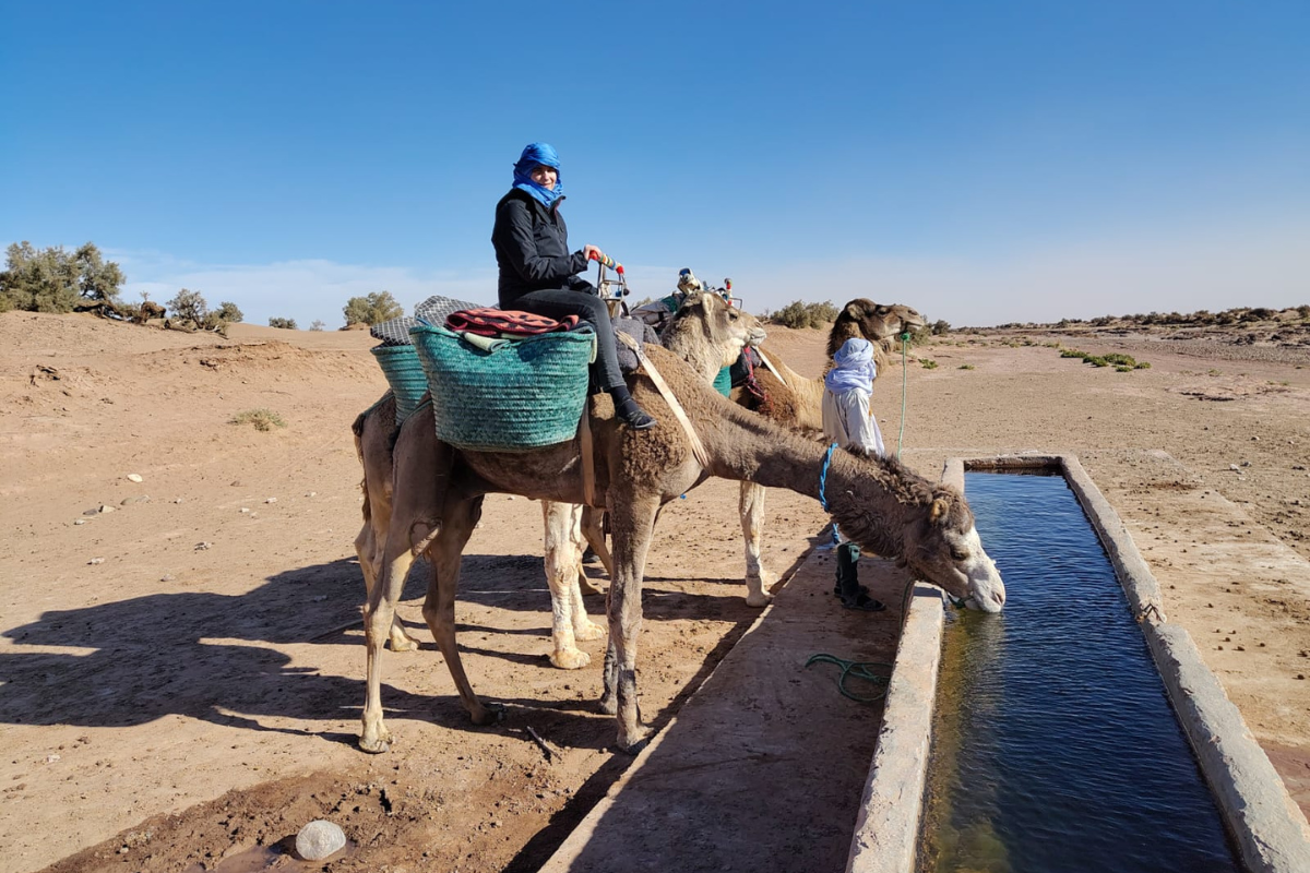 Untitled design (18)