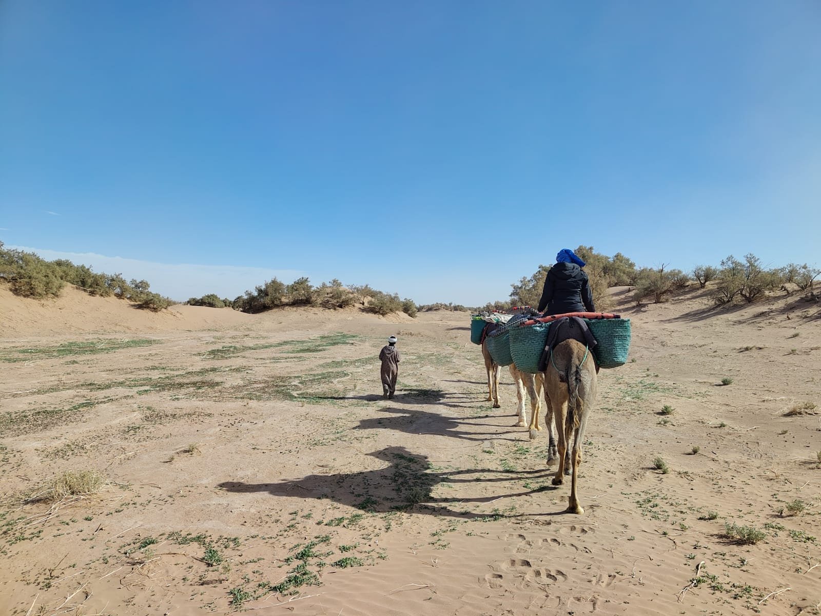 WhatsApp Image 2026-02-06 at 22.10.01