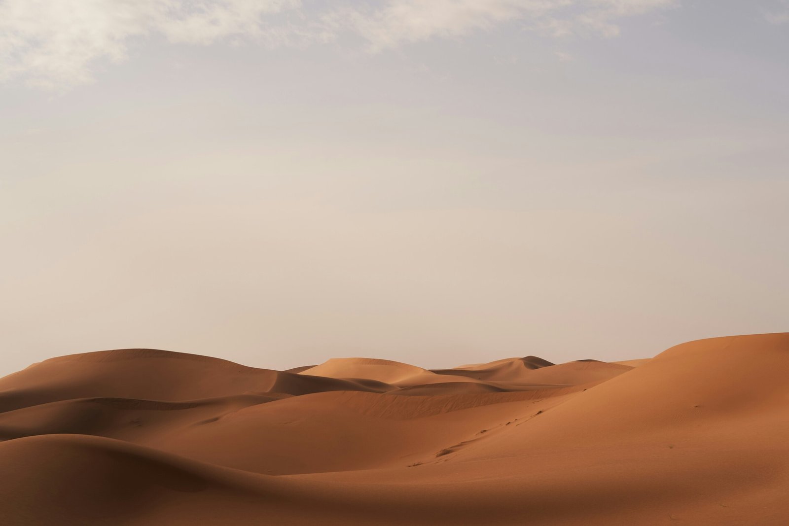 Wellness Desert Retreat Morocco